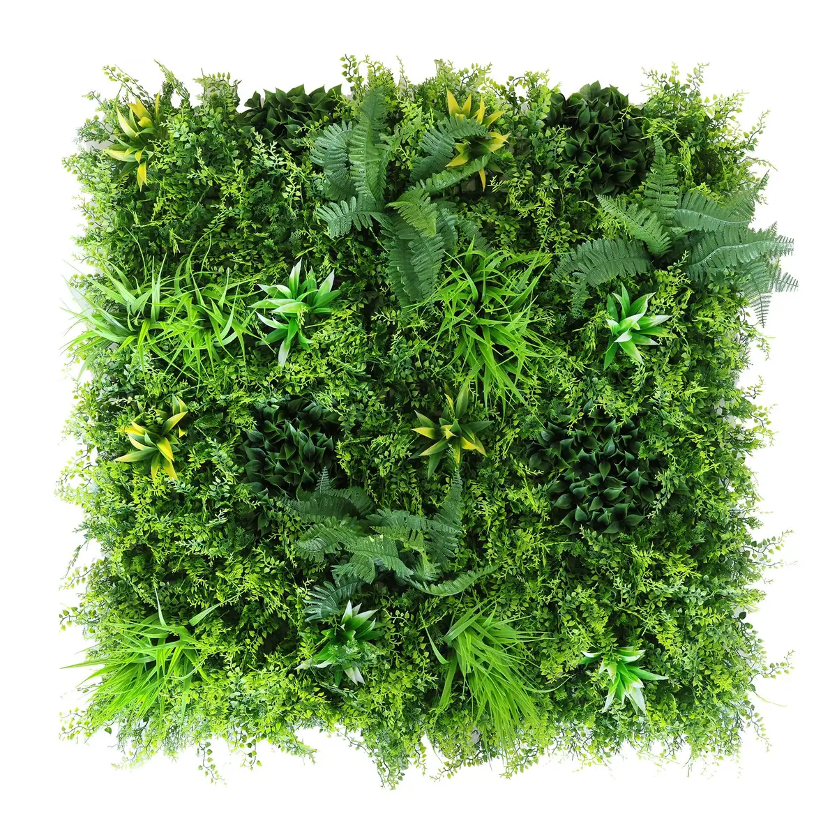 Zeleni panel Curacao 100x100 cm zelene stene