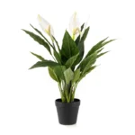 Umetni spatifil vlončen 3 cvetovi 53cm