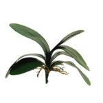 Umetni list orhideje 25 cm umetno cvetje listje orhideja