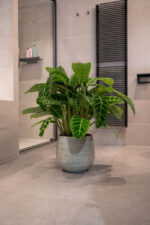 Okrasni lonec Renco 36 x 32 peščen -Bonsai(1)