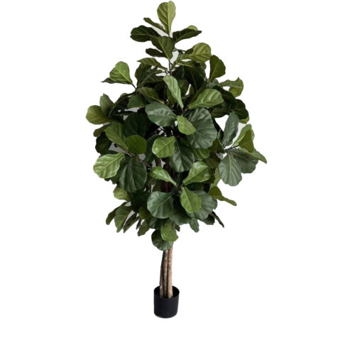 Umetna Lyrata 180cm Home