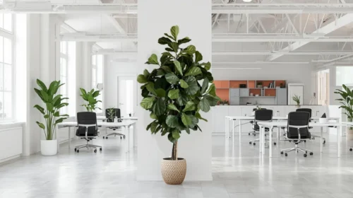 Umetna Lyrata 180cm Home umetna drevesa rastline