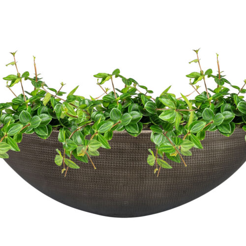 Vaza podolgovata Rowen siva D35x12 H11