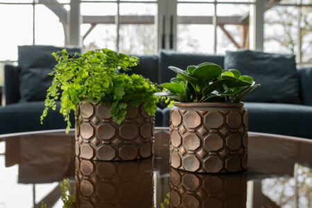 Okrasni lonec Jure rose D19 H14