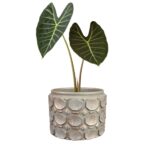 Okrasni lonec Jure rose D19 H14