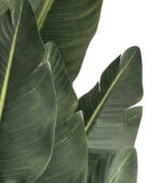 Umetna strelicija 150 cm Kimberley