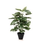 Umetna monstera 65cm v loncu