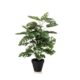 Umetna monstera 65cm v loncu