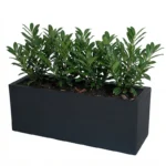 Cvetlično korito Balcony 80 cm Cassa cvetlično korito za rože