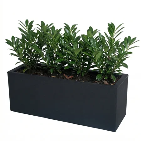 Cvetlično korito Balcony 80 cm Cassa cvetlično korito za rože