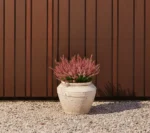 Erika grm 29 cm UV roza