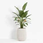 Okrasni lonec Aurora beige 43x50cm fc