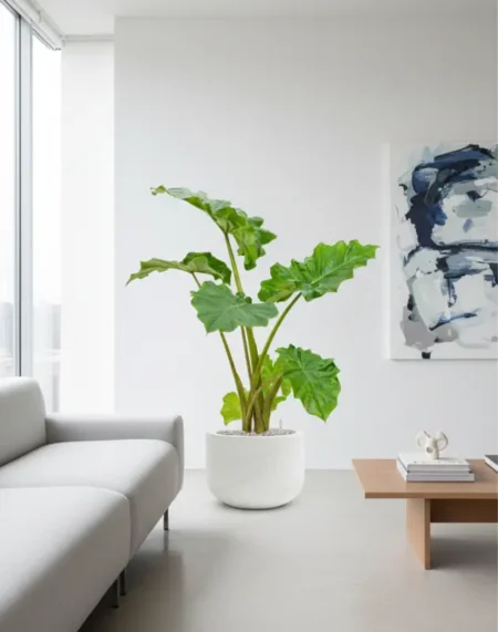 Okrasni lonec Aurelian 40x26 bež fc