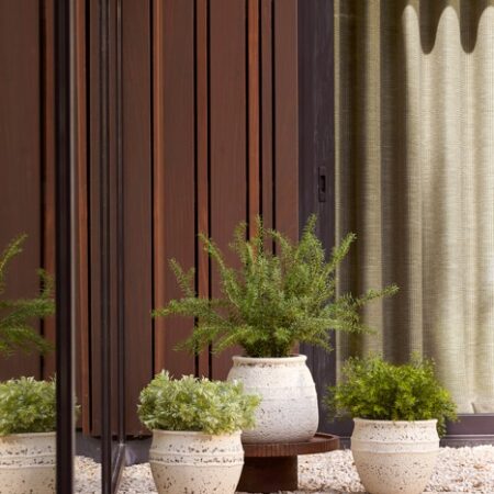 Rožmarin grm 60cm UV