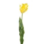 Umetni tulipan rumen 68 cm