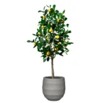 Umetna limona 150cm Santorini