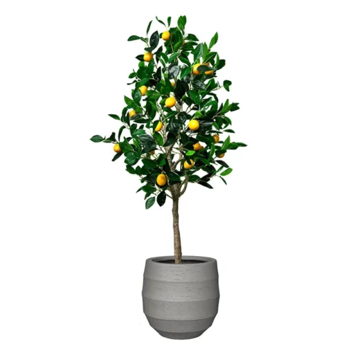 Umetna limona 150cm Santorini
