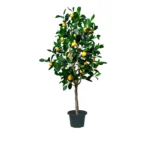 Umetna limona 150cm Santorini