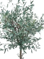 Umetna oljka 180cm Santorini Umetna oljka 180cm Santorini