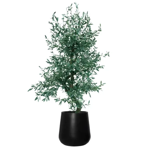 Umetna oljka 220 cm Pure nature by Bonsai Dekor