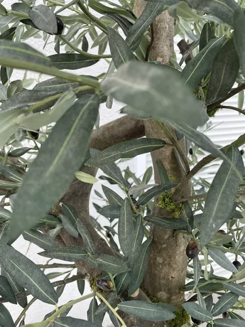 Umetna oljka 220 cm Pure nature by Bonsai Dekor listi 3