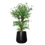 Umetni Ligustrum 140cm