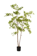 Umetno drevo Terminalia 205 cm
