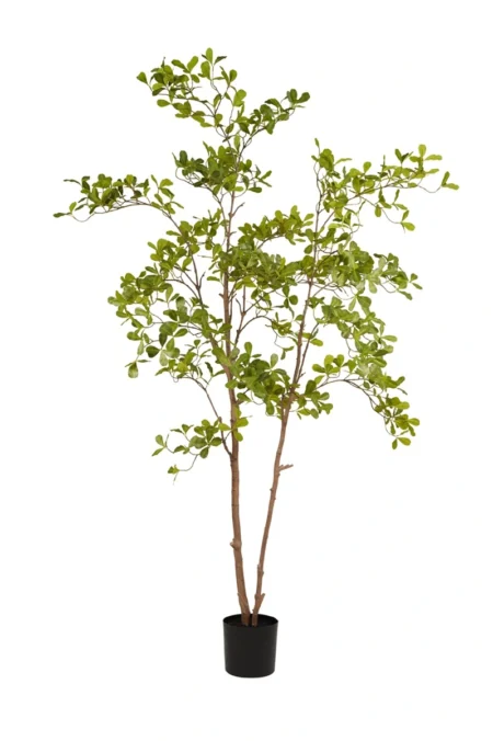 Umetno drevo Terminalia 205 cm