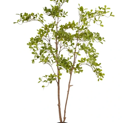 Umetno drevo Terminalia 205 cm