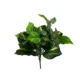 Philodendron grm 46 cm UV