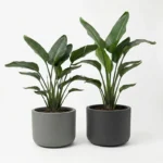 Cvetlični lonec Pulse 50 - moderni okrasni lonci za rože