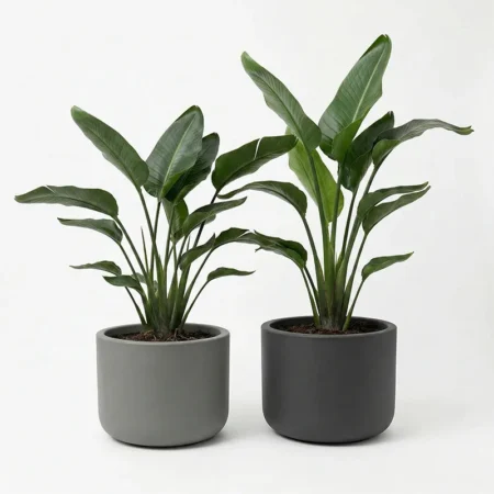 Cvetlični lonec Pulse 50 - moderni okrasni lonci za rože