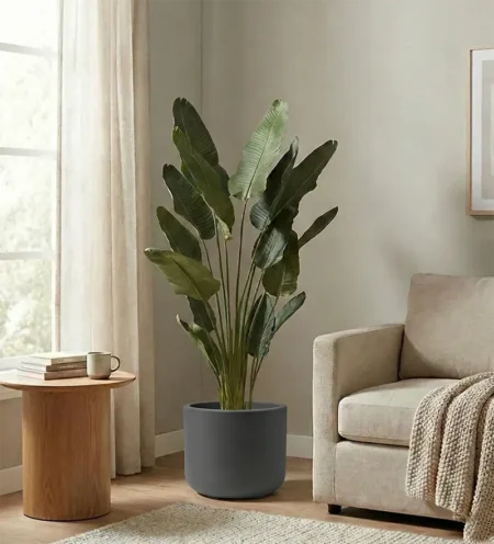 Cvetlični lonec Pulse 50