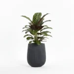 Okrasni lonec Aurora midnight black 43