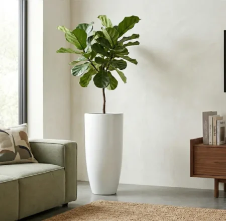 Okrasni lonec za rože Pure