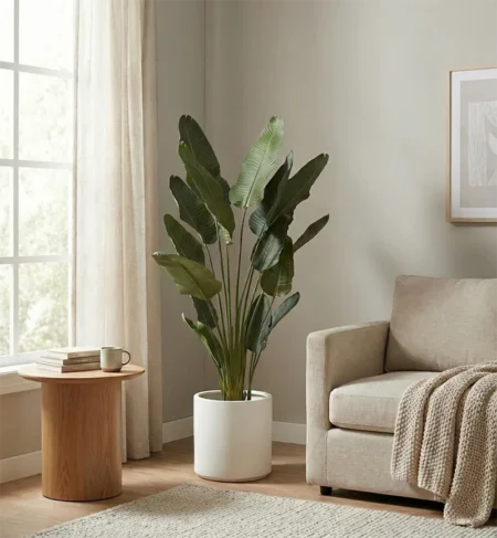 Umetna strelicija Pure 180 cm