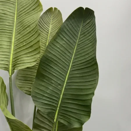 Umetna strelicija Pure 180 cm