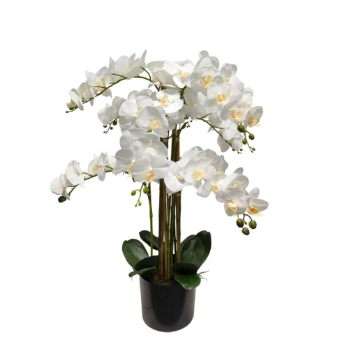 Umetna orhideja bela 80cm Lia