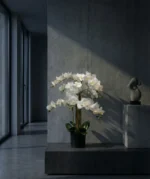 Umetna orhideja bela 80cm Lia real touch