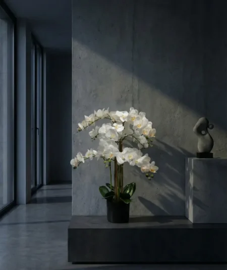 Umetna orhideja bela 80cm Lia real touch