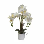 Umetna orhideja bela 52 cm Eterna