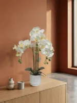 Umetna orhideja bela 52 cm Eterna