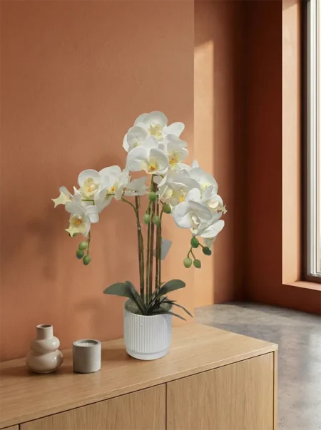 Umetna orhideja bela 52 cm Eterna
