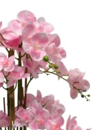 Umetna orhideja roza 80cm Eterna Real touch