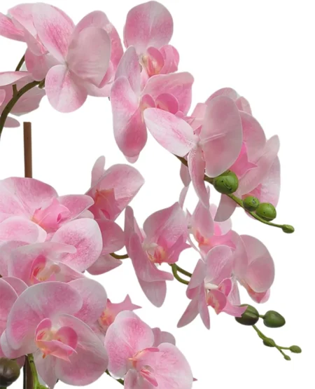 Umetna orhideja roza 65cm Viva Real touch