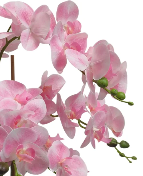 Umetna orhideja roza 65cm Viva Real touch
