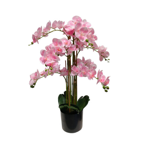 Umetna orhideja roza 80cm Eterna Real touch