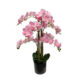 Umetna orhideja roza 80cm Eterna Real touch