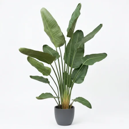 Umetna strelicija Pure 180 cm
