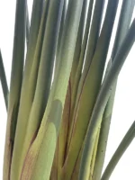 Umetna strelicija Pure 180 cm